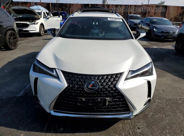 JTHX6JBH5R2188584 2024 LEXUS UX White Front view