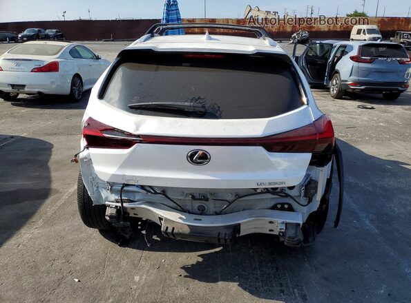 JTHX6JBH5R2188584 2024 LEXUS UX White Rear view
