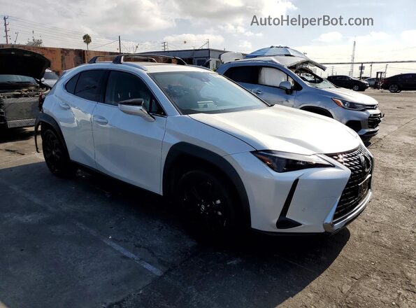 JTHX6JBH5R2188584 2024 LEXUS UX White Front right