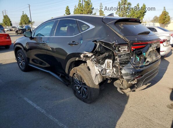JTJAKCEZ9P2013736 2023 LEXUS NX Black Задня ліва чверть