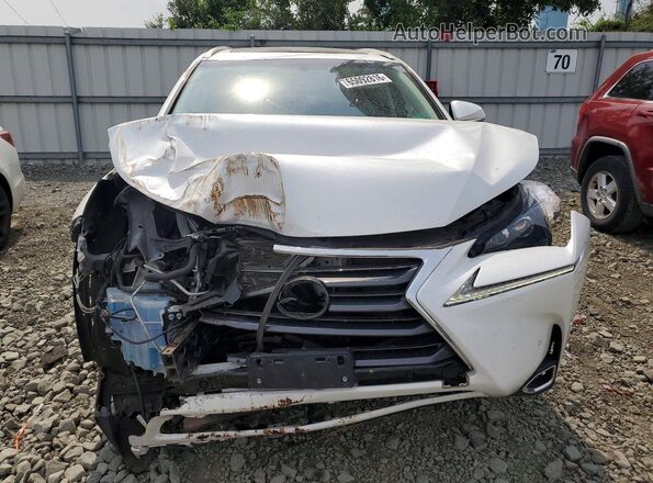 JTJBARBZ2G2061982 2016 LEXUS NX White წინა ხედი