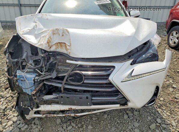JTJBARBZ2G2061982 2016 LEXUS NX White უკანა სალონის ხედი