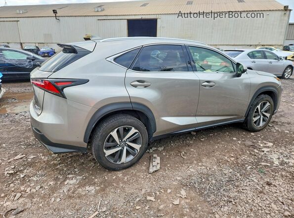 JTJBARBZ2K2191429 2019 LEXUS NX Silver Trasero derecho