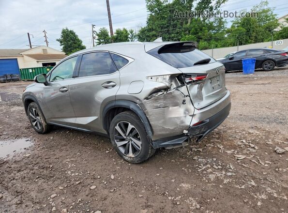 JTJBARBZ2K2191429 2019 LEXUS NX Silver Trasero izquierdo