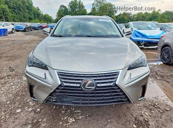 JTJBARBZ2K2191429 2019 LEXUS NX Silver Vista frontal