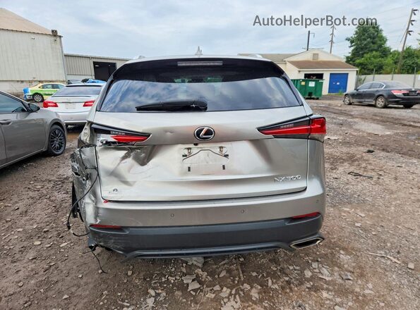 JTJBARBZ2K2191429 2019 LEXUS NX Silver Vista trasera