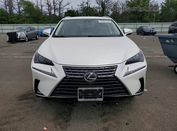 JTJBARBZ2K2191723 2019 LEXUS NX White Vista frontal