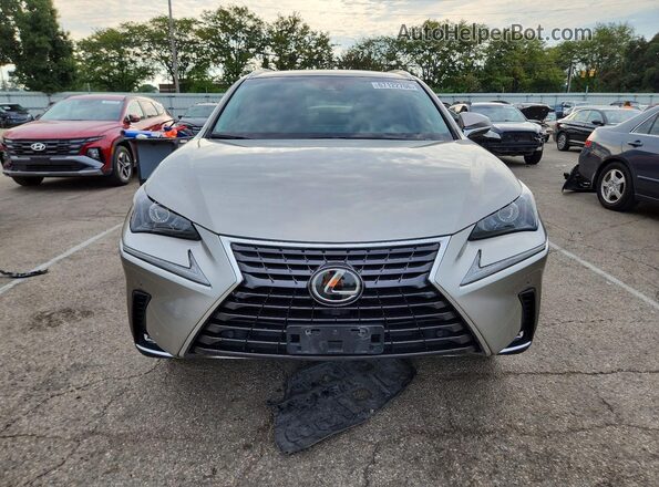 JTJBARBZ2K2195965 2019 LEXUS NX Silver Front view