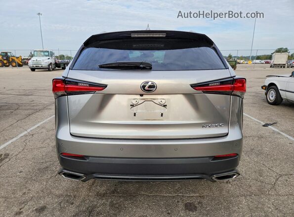 JTJBARBZ2K2195965 2019 LEXUS NX Silver Rear view