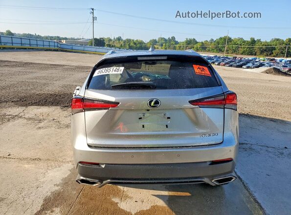 JTJBARBZ3K2215642 2019 LEXUS NX Silver Widok z tyłu