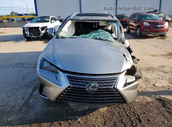 JTJBARBZ3K2215642 2019 LEXUS NX Silver Widok z przodu