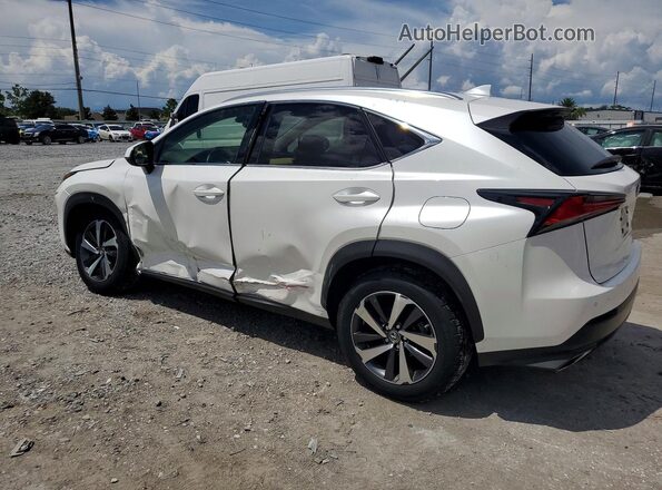 JTJBARBZ8J2157932 2018 LEXUS NX White უკანა მარცხენა