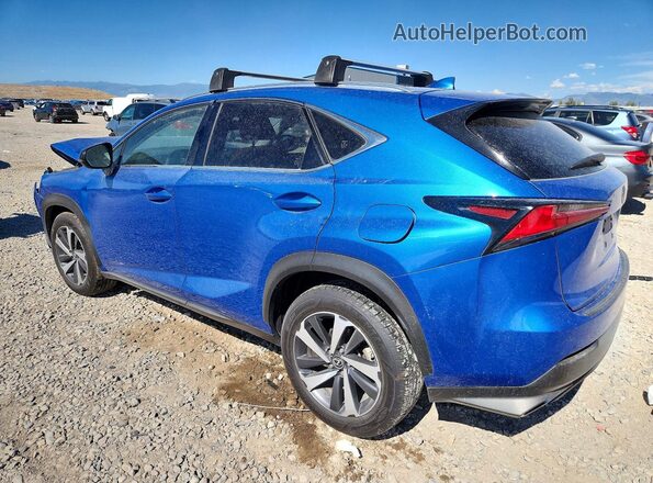JTJBARBZ9K2193663 2019 LEXUS NX Blue უკანა მარცხენა