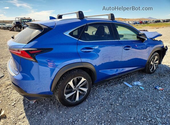 JTJBARBZ9K2193663 2019 LEXUS NX Blue უკანა მარჯვენა