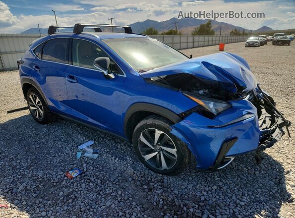 JTJBARBZ9K2193663 2019 LEXUS NX Blue წინა მარჯვენა