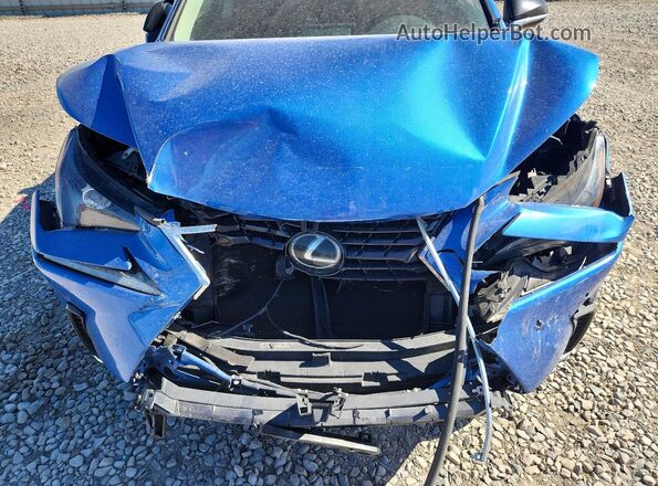 JTJBARBZ9K2193663 2019 LEXUS NX Blue უკანა სალონის ხედი