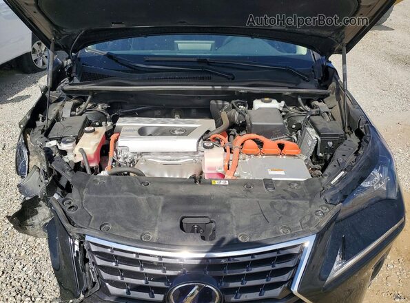 JTJBJRBZ1K2108623 2019 LEXUS NX Black Engine compartment view