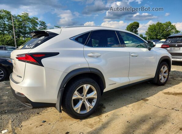 JTJBJRBZ7H2069822 2017 LEXUS NX White Задня права чверть