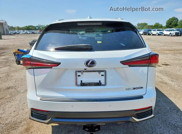 JTJBJRBZ9K2124469 2019 LEXUS NX White Vista trasera