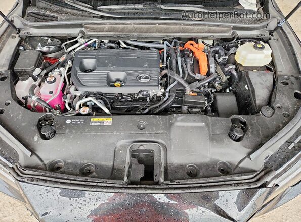 JTJCJMGA8T2038906 2026 LEXUS RX Black Вид наклейки з VIN-кодом
