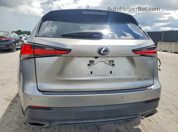 JTJDARBZ0L5019120 2020 LEXUS NX Gray Вид ззаду