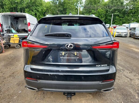 JTJDARDZ0L2226590 2020 LEXUS NX Black Widok z tyłu