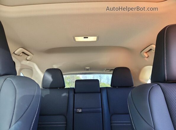 JTJDARDZ9L2231366 2020 LEXUS NX Gray Vista de los asientos traseros
