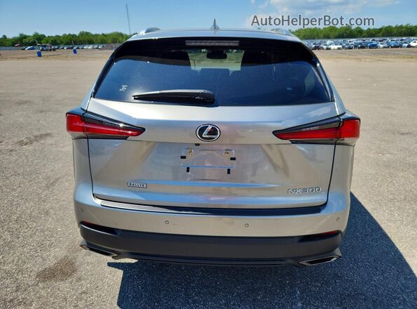 JTJDARDZ9L2231366 2020 LEXUS NX Gray Vista trasera