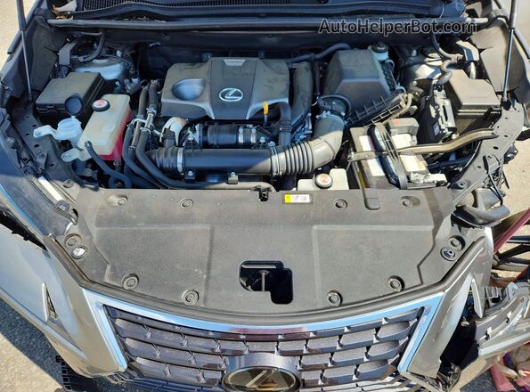 JTJDARDZ9L2231366 2020 LEXUS NX Gray Vista del compartimento del motor