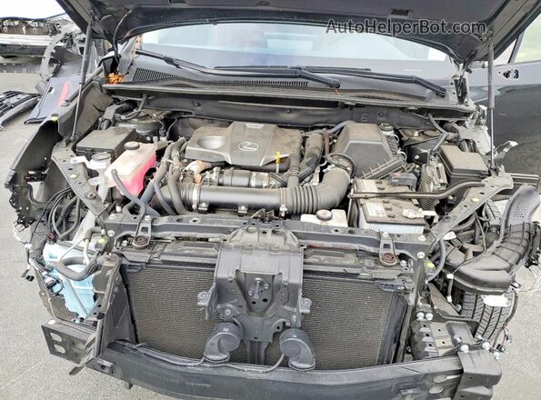 JTJDARDZXL5012267 2020 LEXUS NX Black Vista del compartimento del motor