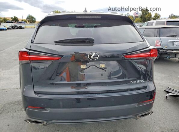 JTJDARDZXL5012267 2020 LEXUS NX Black Vista trasera