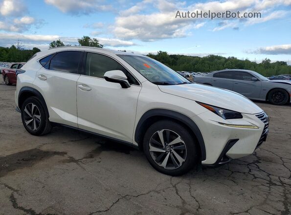 JTJGARDZ6L5014806 2020 LEXUS NX White Front right