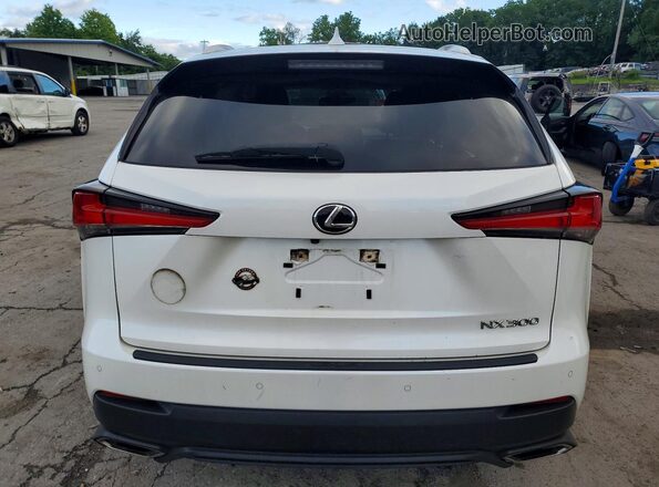 JTJGARDZ6L5014806 2020 LEXUS NX White Rear view