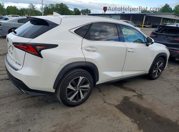 JTJGARDZ6L5014806 2020 LEXUS NX White Rear right