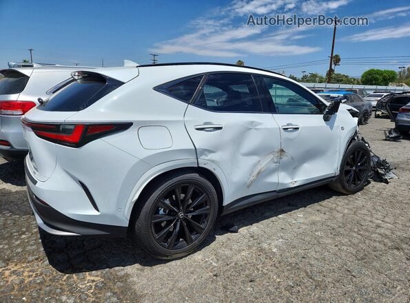 JTJKKCFZ1S2072372 2025 LEXUS NX White Задня права чверть