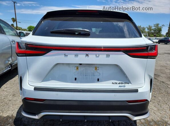 JTJKKCFZ1S2072372 2025 LEXUS NX White Вид ззаду