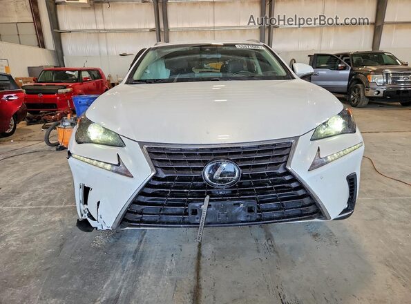 JTJYARBZ1K2135492 2019 LEXUS NX White წინა ხედი