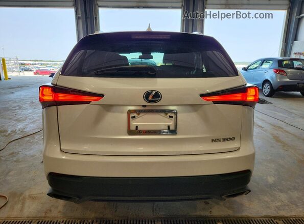 JTJYARBZ1K2135492 2019 LEXUS NX White უკანა ხედი