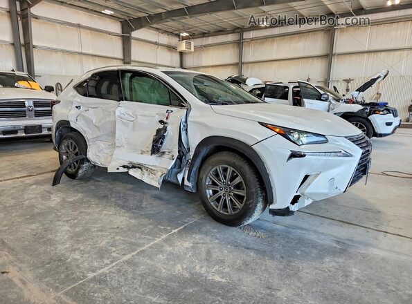 JTJYARBZ1K2135492 2019 LEXUS NX White წინა მარჯვენა