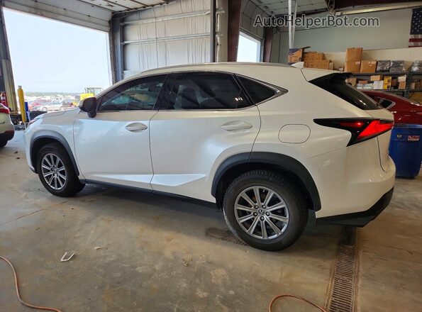 JTJYARBZ1K2135492 2019 LEXUS NX White უკანა მარცხენა