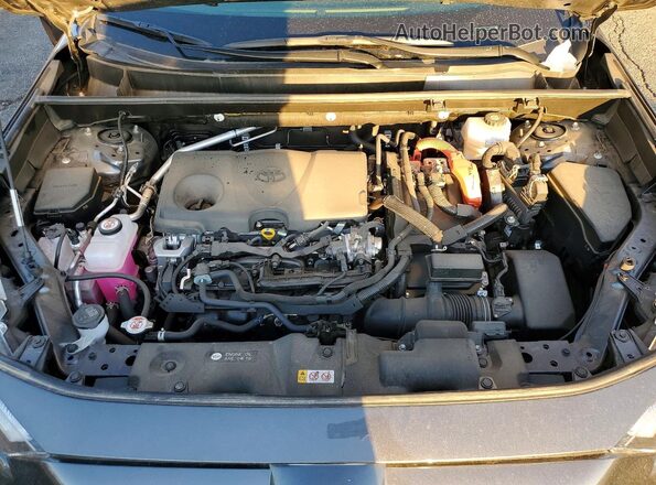 JTM16RFV3PD100333 2023 TOYOTA RAV4 Gray Vista del compartimento del motor