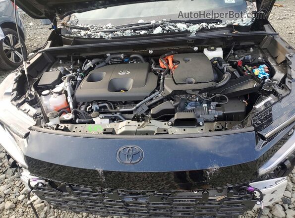 JTM7ERAV5TJ009807 2026 TOYOTA RAV4 Black Вид задньої частини салону