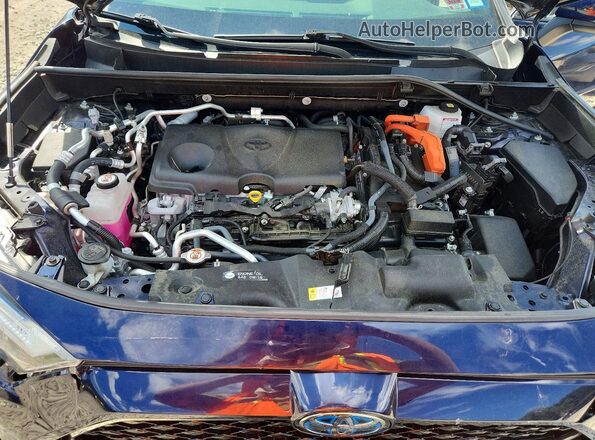 JTMAB3FV2PD154327 2023 TOYOTA RAV4 Синий Вид задней части салона