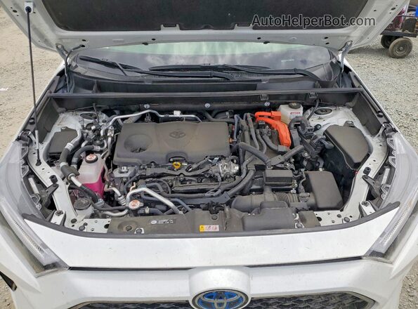 JTMAB3FV8RD217031 2024 TOYOTA RAV4 Белый Вид подкапотного пространства