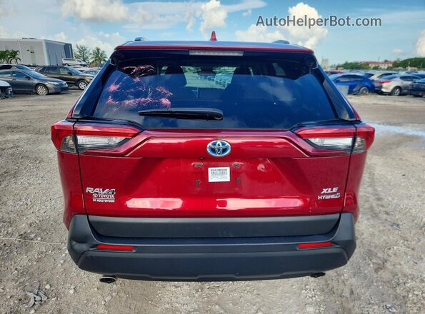 JTMB6RFV1PD106717 2023 TOYOTA RAV4 Red Вид ззаду