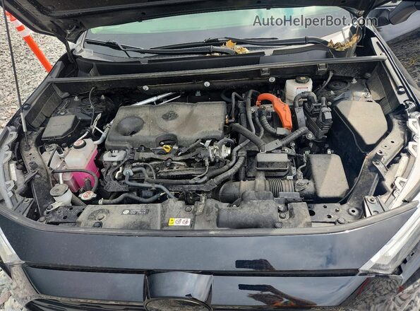 JTMB6RFV9ND070479 2022 TOYOTA RAV4 Черный Вид задней части салона