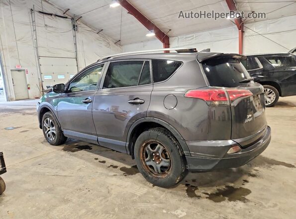 JTMBFREV2HJ135485 2017 TOYOTA RAV4 Gray Tył lewy