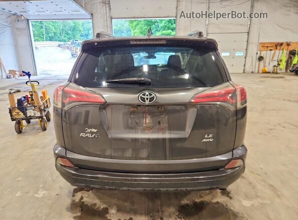 JTMBFREV2HJ135485 2017 TOYOTA RAV4 Gray Widok z tyłu