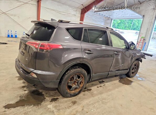 JTMBFREV2HJ135485 2017 TOYOTA RAV4 Gray Tył prawy