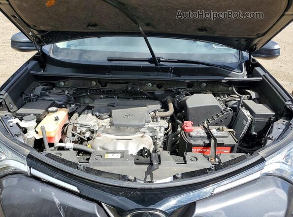 JTMBFREV6JJ740860 2018 TOYOTA RAV4 Gray Սալոնի հետևի տեսք